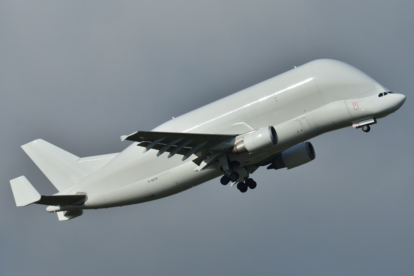 L'Airbus Beluga permet le service de transport de fret aérien